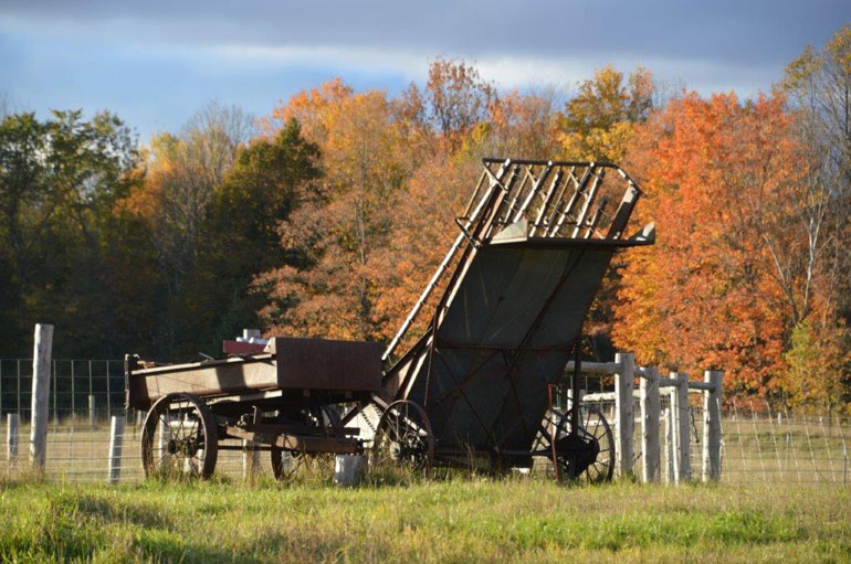 Autumn beauty on an Amish farm.