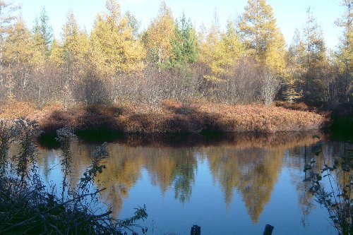 Autumn in the U.P. has its own special beauty.  This late October scene is from an area where pike move through a culvert every spring to spawn in the shelter of the marshland.